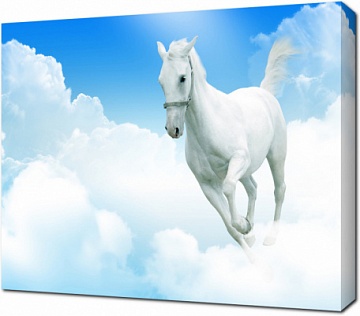 Белый конь в облаках