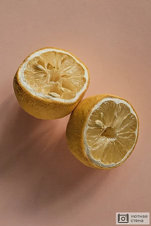 Засушенный лимон