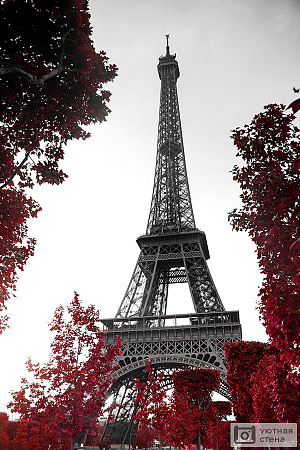 Монохромный вид Эйфелевой башни на фоне красной листвы