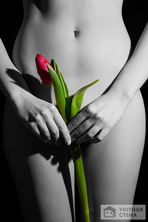 Обнаженная девушка с тюльпаном