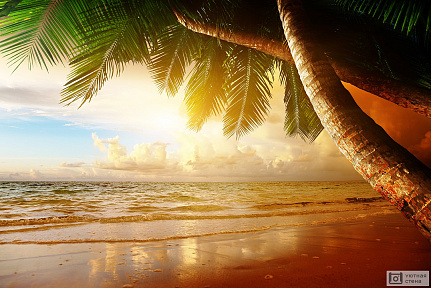 Рассвет на Карибском пляже