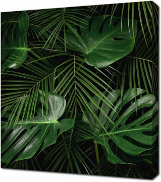 Декоративные листья тропических растений