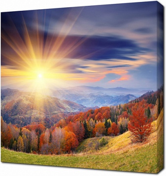 Осень в горах Карпаты