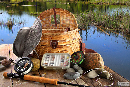 Набор рыболова на берегу озера