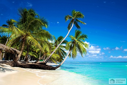 Тропический пляж Карибского моря