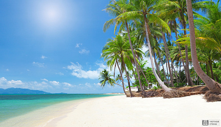 Тропический пляж в солнечную погоду