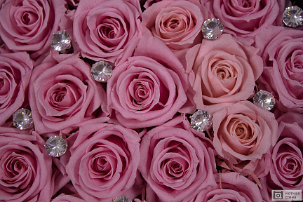 Розы с бриллиантами