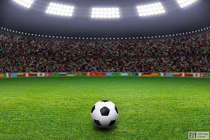 Футбольный мяч на зеленом стадионе. Иллюстрация