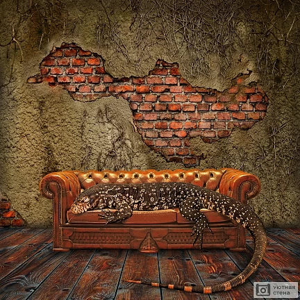 Ящерица на диване