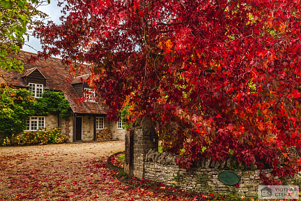 Фотообои Осенний пейзаж, Англия