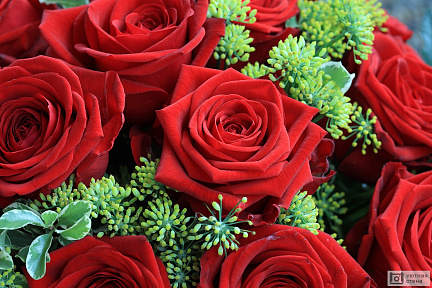 Красивый букет с красными розами