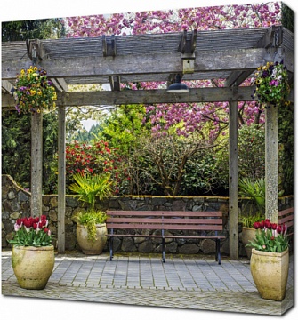 Скамейка под цветущей вишней