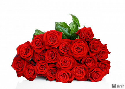 Букет из красных роз на белом фоне