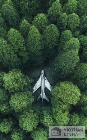 Самолет укрытый среди деревьев