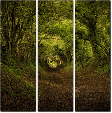 Тоннель в лесу