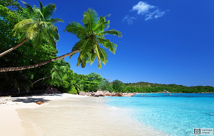 Пляж АНС Лацио на острове Праслин, Сейшельские острова