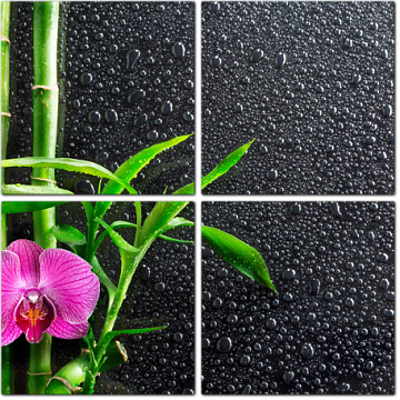 Орхидея и бамбук на черном фоне