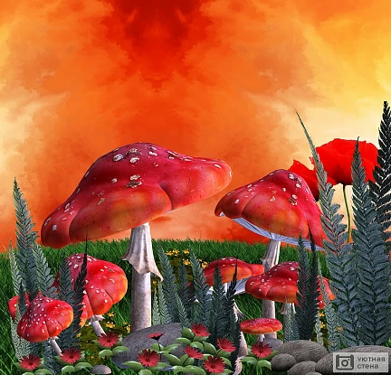 Магические мухоморы