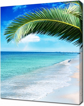 Красивая ветка пальмы на фоне морского пейзажа