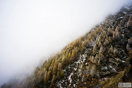 Туман по склону горы