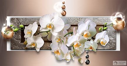 Орхидеи в серебристой раме