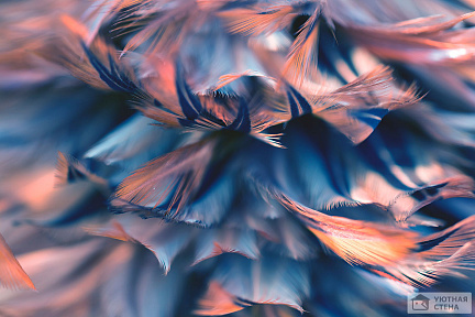 Воздушные голубые и коралловые перья