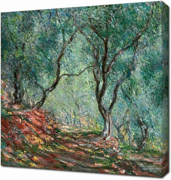 Клод Оскар Моне - Оливковые деревья в саду Морено