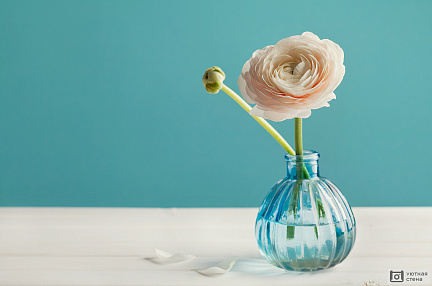 Воздушный цветок в голубой вазе