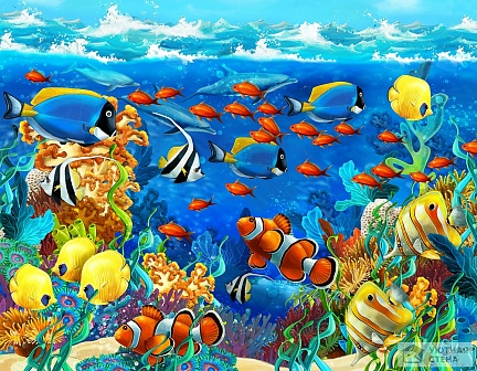 Яркое разнообразие подводного мира