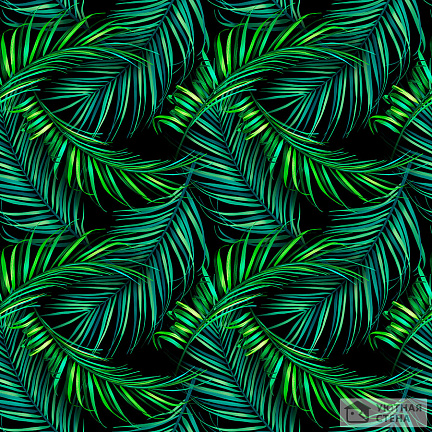 Насыщенно-зеленые листья пальмы
