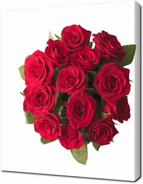Букет красных роз на белом фоне