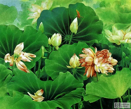 Живописные лотосы с лилиями