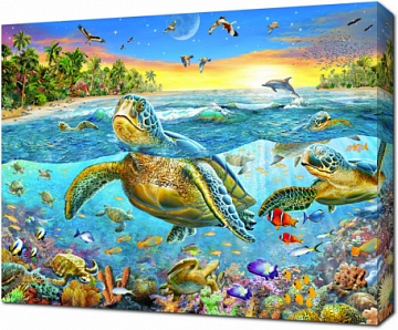 Черепахи плывущие в океане