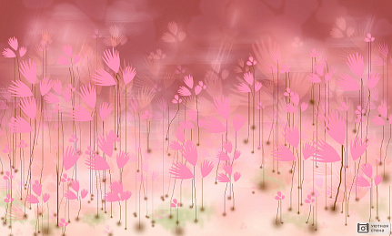 Розовые цветы на полях