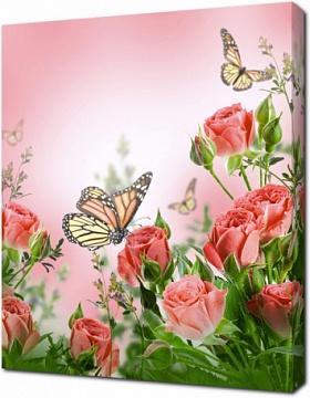 Бабочки на розах на розовом фоне
