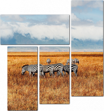 Зебры на фоне африканского пейзажа
