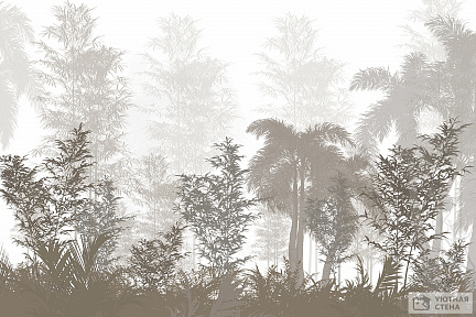Загадки туманных джунглей