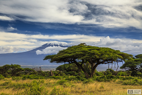 Фотообои Потрясающие пейзажи Килиманджаро