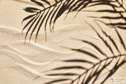 Песок с тенью от пальмы