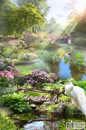 Цветущий сад с прудом и павлином
