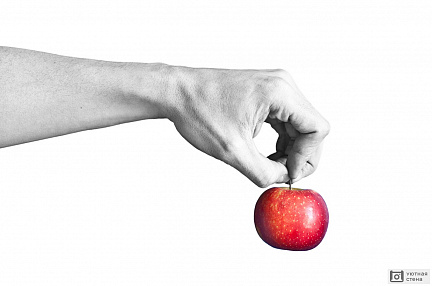 Черно белая рука держит красное яблоко