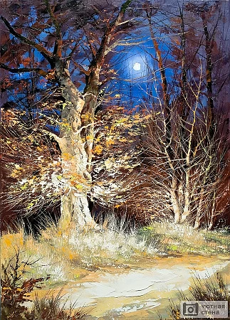 Ночной лес под луной