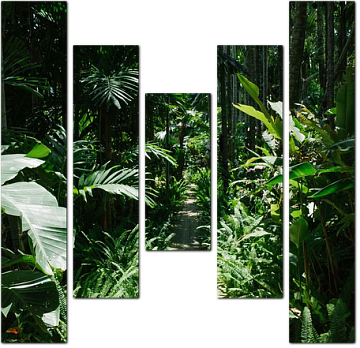 Тропические растения далеких лесов