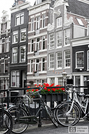 Фотообои Клумба красных цветов на фоне домов Амстердама