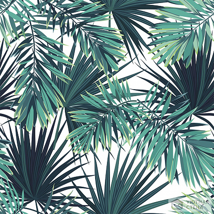 Тропический фон с пальмовыми ветвями