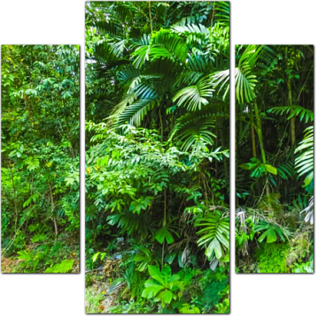 Тропическая зелень