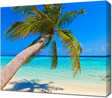 Тропический пляж на острове Vilamendhoo в Индийском океане. Мальдивы
