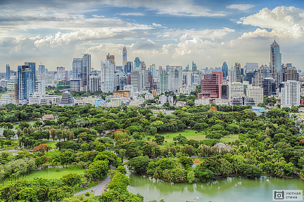 Зеленый сад в центре Бангкока. Таиланд