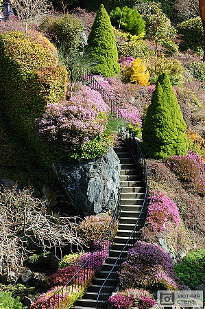 Лестница через сад