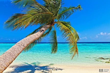 Тропический пляж на острове Vilamendhoo в Индийском океане. Мальдивы